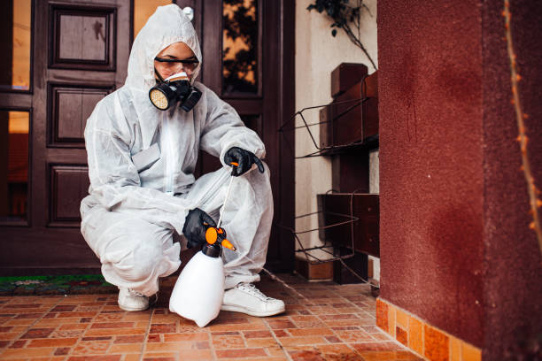 Reliable Cockroach Control contractor in Safford, AZ by Nex Pest Control